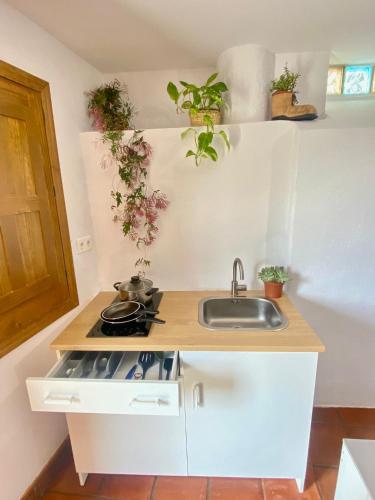 a kitchen with a sink and plants on the wall at Casa Soportújar las flores in Soportújar