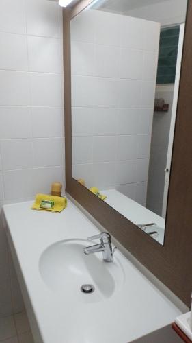 a bathroom with a sink and a mirror at Karibbean Sweet Home in Saint-François