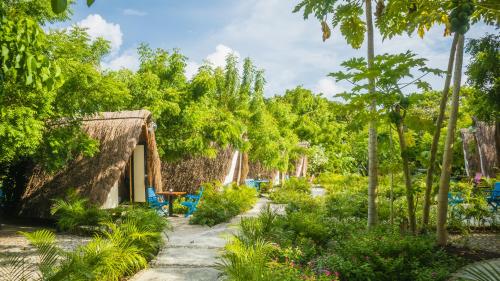 a garden in front of a house with trees at Santuario Beach Hostel in Tierra Bomba