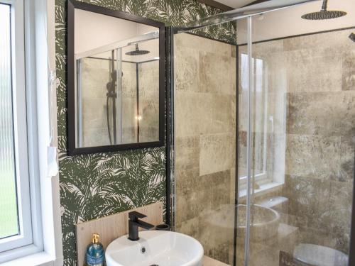 een badkamer met een wastafel en een douche bij Dodd - Uk42499 in Bassenthwaite