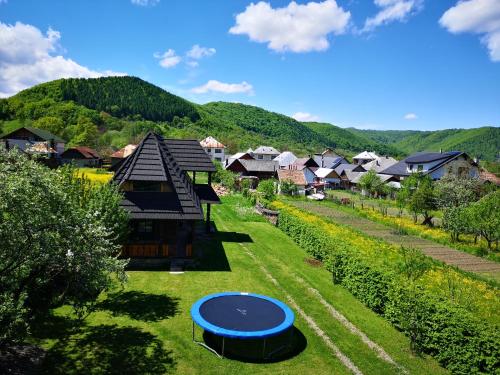 an aerial view of a house with a blue trampoline at Pensiunea Ardelean in Vadu Izei