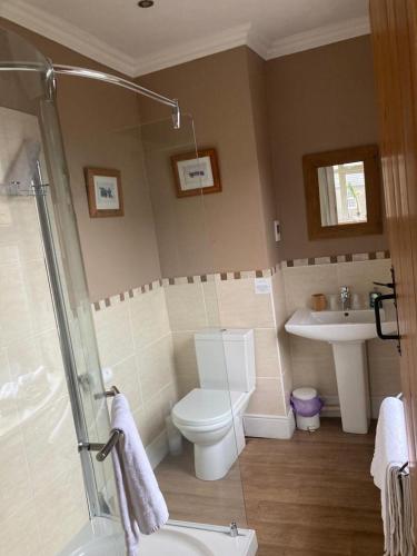 a bathroom with a toilet and a sink at Arkleside Country Guest House in Reeth