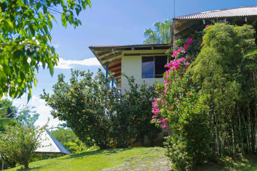 a house with pink flowers on the side of it at Casa Drake Lodge in Drake
