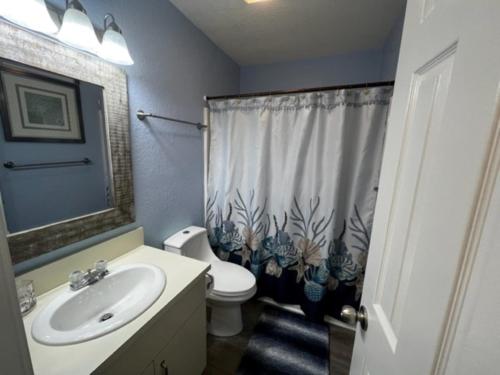 a bathroom with a sink and a toilet with a shower curtain at SunSet Terrace, Avon NC in Avon