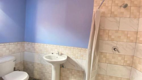 a bathroom with a toilet and a sink at Destiny Guesthouse in Germiston