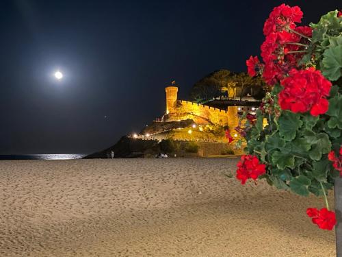 a castle on the beach at night with red flowers at P&R hostals Can Tort in Tossa de Mar