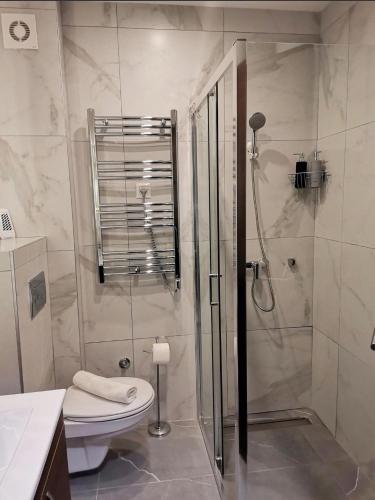 a bathroom with a shower with a toilet and a sink at Apartman Bella, Titova Vila, Zlatibor in Zlatibor