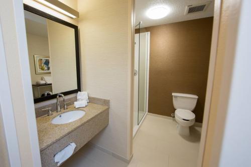 a bathroom with a sink and a toilet and a mirror at Fairfield Inn & Suites Burlington in Burlington