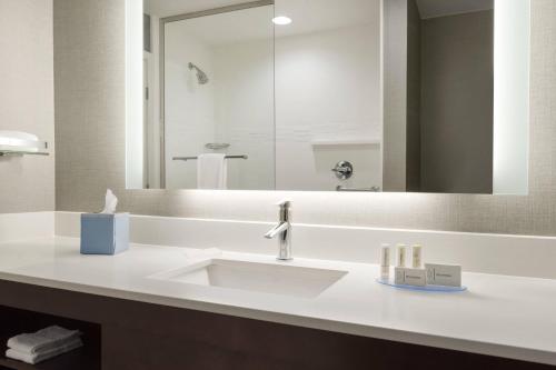 baño con lavabo y espejo grande en Residence Inn by Marriott St. Paul Woodbury, en Woodbury