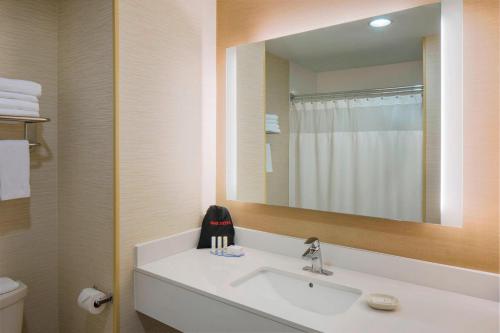 een badkamer met een wastafel en een spiegel bij Fairfield Inn & Suites by Marriott Bridgewater Branchburg/Somerville in Branchburg Park