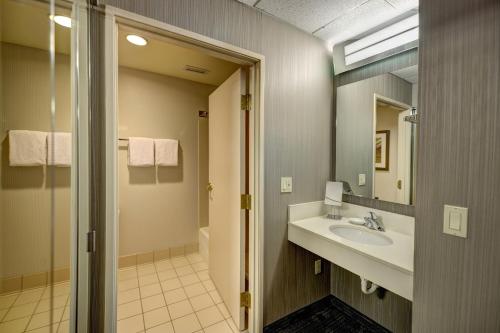 W łazience znajduje się umywalka i lustro. w obiekcie Courtyard Wausau w mieście Wausau