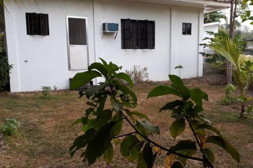 Сад в Riverside Transient House/Balingasay-Patar Beach