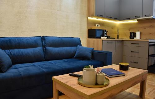un salon avec un canapé bleu et une table basse dans l'établissement Duga Apartmani 2, à Subotica