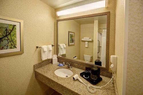 Baño del hotel con lavabo y espejo en Fairfield Inn & Suites by Marriott Wausau, en Weston
