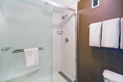 a bathroom with a shower with a glass door at Fairfield Inn & Suites by Marriott Atlanta Vinings/Galleria in Atlanta