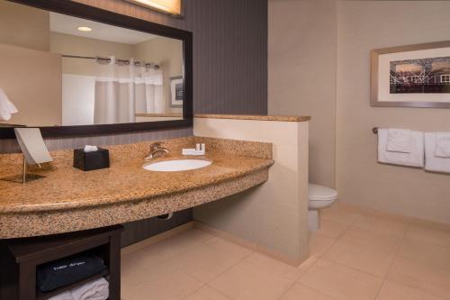 a bathroom with a sink and a toilet and a mirror at Courtyard Fredericksburg Historic District in Fredericksburg