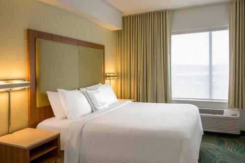 a hotel room with a large bed and a window at SpringHill Suites by Marriott Charlotte Airport in Charlotte