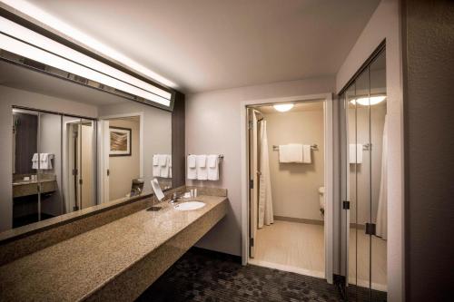 a bathroom with a sink and a large mirror at Courtyard by Marriott Norfolk Downtown in Norfolk