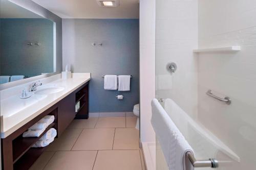 a bathroom with a sink and a toilet and a mirror at Residence Inn by Marriott Omaha West in Omaha