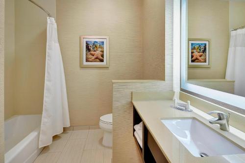 ein Badezimmer mit einem Waschbecken, einem WC und einem Spiegel in der Unterkunft Fairfield Inn & Suites by Marriott San Diego Carlsbad in Carlsbad