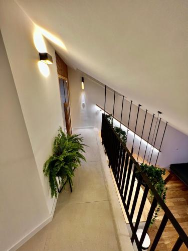 Foto Dubrovnikis asuva majutusasutuse Aria Suite & SPA Dubrovnik galeriist