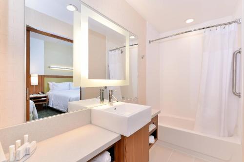 a bathroom with a sink and a mirror at SpringHill Suites by Marriott Raleigh Cary in Cary