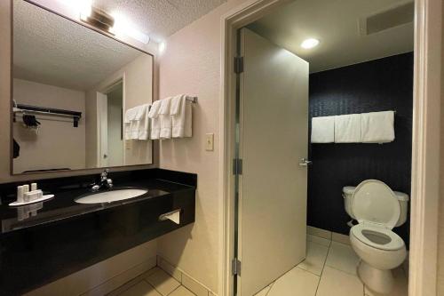 uma casa de banho com um WC, um lavatório e um espelho. em Fairfield Inn & Suites Jackson Airport em Pearl