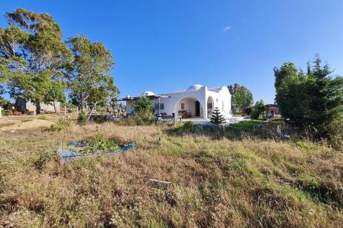 a house on top of a hill in a field at Maison de vacance pour les amateurs de la nature in Kelibia