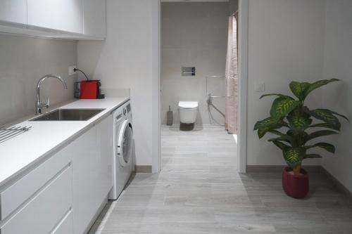 a white kitchen with a sink and a plant at Mimi's Apartment in En Corts in Valencia