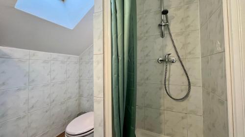 La salle de bains est pourvue d'une douche et de toilettes. dans l'établissement De sauge et d'osier, à Nevers