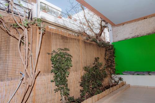 Acropolis Studio Apartment