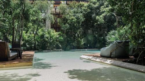Copal Tulum Hotel في تولوم: مسبح في حديقة فيها اشجار