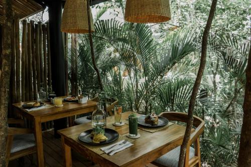 Zahrada ubytování Copal Tulum Hotel