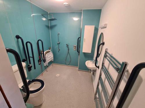 a bathroom with a toilet and a shower in it at The Miggi vegan guesthouse in Torquay