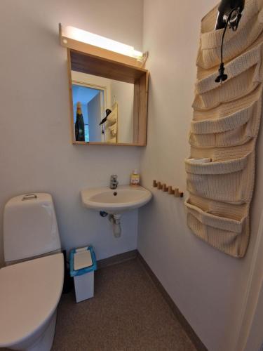 a bathroom with a toilet and a sink and a mirror at Undredal Fjord Apartments in Undredal