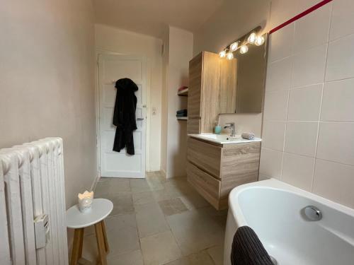 ein Badezimmer mit einer Badewanne, einem Waschbecken und einer Badewanne in der Unterkunft Le Nid des Ducs - Gare et Cité gastronomique in Dijon