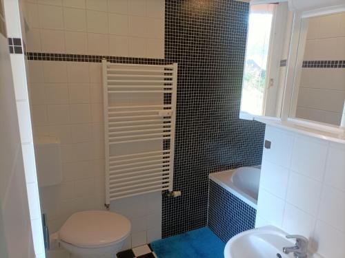 a bathroom with a toilet and a sink at Papststein in Rathmannsdorf