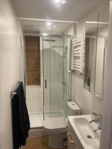 La salle de bains est pourvue d'une douche, de toilettes et d'un lavabo. dans l'établissement MW 5A Apartament, à Rzeszów