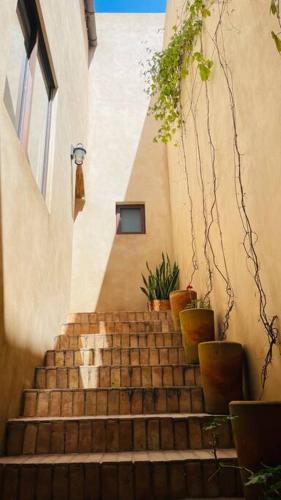 Φωτογραφία από το άλμπουμ του Departamento Lux En Val’Quirico Loft Frontana σε Tlaxcala de Xicohténcatl