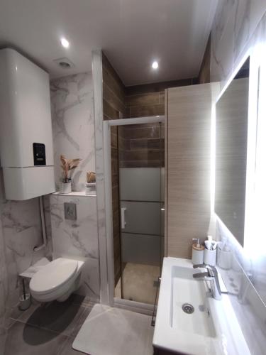 une salle de bain avec une douche, des toilettes et un lavabo dans l'établissement Bright apartment at Mimi’s, à Nice