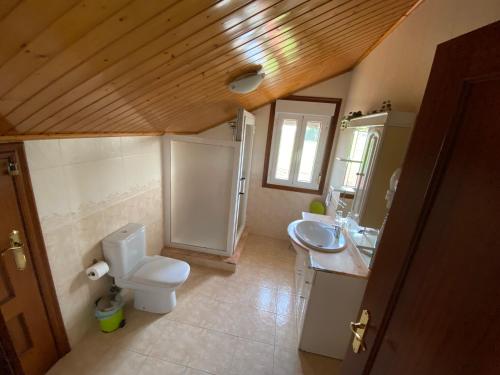 ein kleines Badezimmer mit Toilette und Waschbecken in der Unterkunft Pensión Codesal in O Pedrouzo