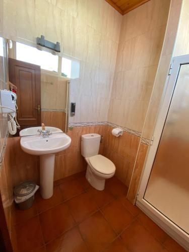 a bathroom with a toilet and a sink and a shower at Pensión Codesal in O Pedrouzo