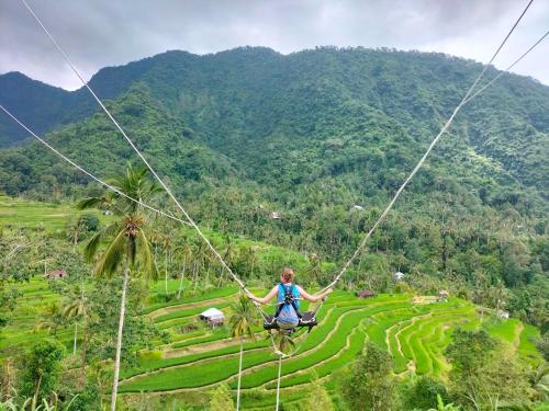 a person on a zip line over a rice field at Friendly Homestay Lemukih in Singaraja