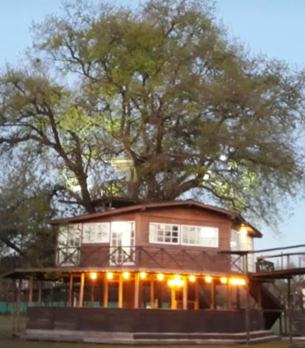 GLAMPING El Roble