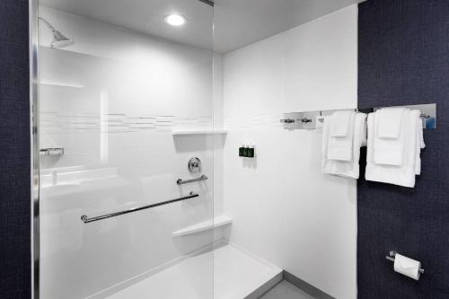 a bathroom with a shower with a glass door at Residence Inn by Marriott Milwaukee Brookfield in Brookfield