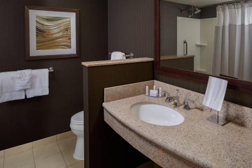 a bathroom with a sink and a toilet and a mirror at Courtyard by Marriott Houston Medical Center/NRG Park in Houston
