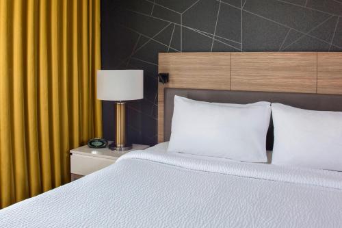 SpringHill Suites by Marriott New Orleans Warehouse Arts District Image