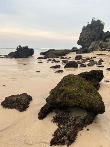 a beach with rocks and seaweed on the sand at PINOKKIO B&B Restaurant in Jimbaran