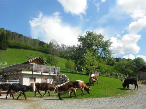 Tiere in diesem Bauernhof oder in der Nähe