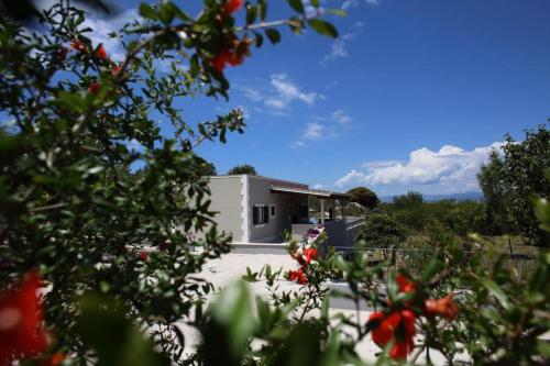 House Meri – Photos 2